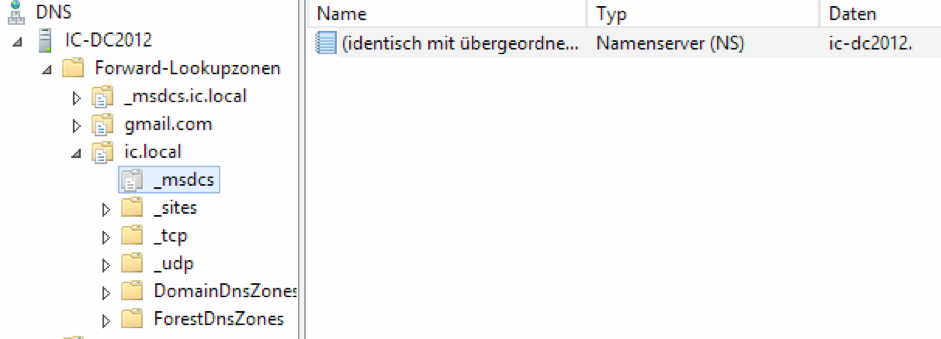 Eintrag DNS-Server in DNS überprüfen